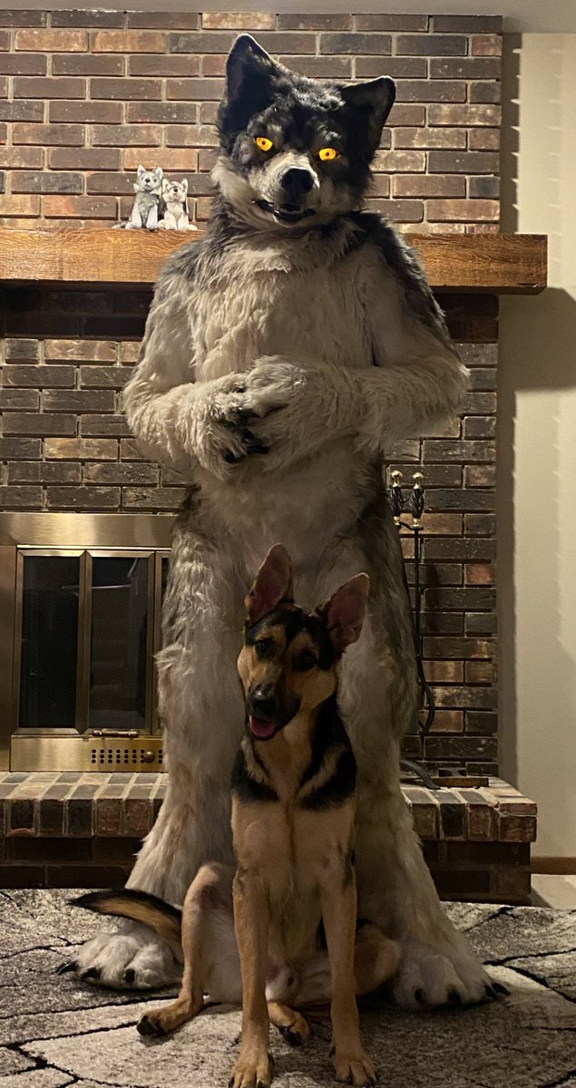 WolfPagan's tweet photo. Woof?

Photo by @Blueshadowsmoon 
Featuring Flint, my g-shep 🐶 https://t.co/mMi14D2wkz