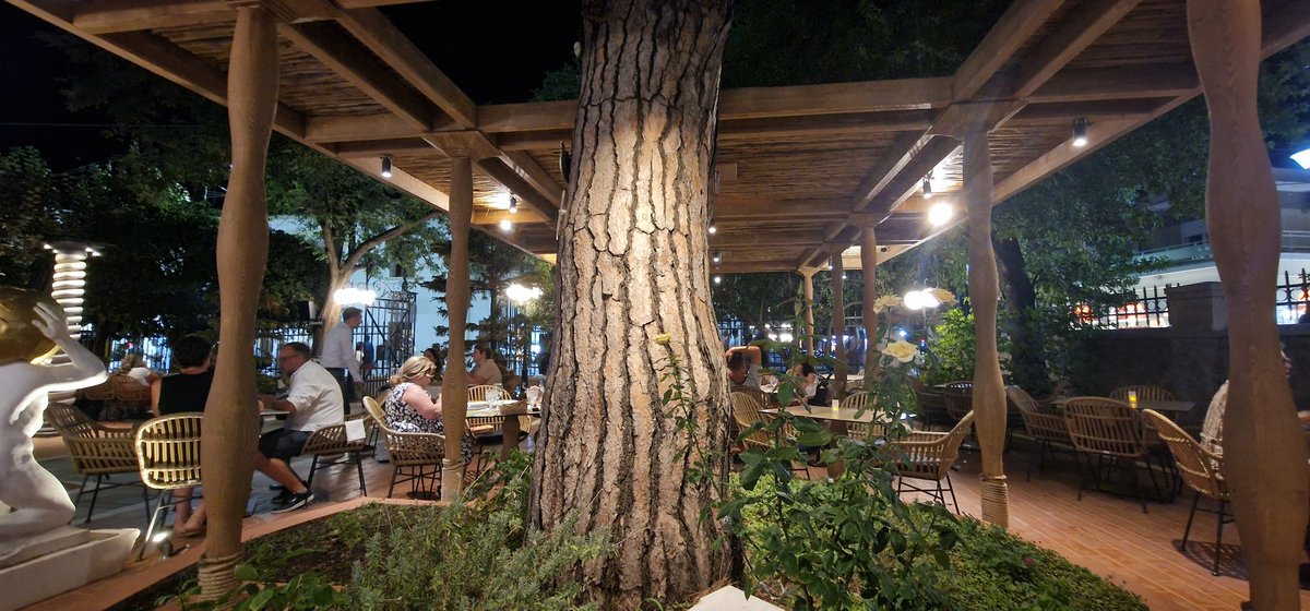 Martin1960's tweet image. Tarbot in champagne-kaviaarsaus. Toe maar, het kan niet op. Met twee katten in een restaurant. Maar-eh... - voor zo ver dit nog niet duidelijk was:  ik houd van katten! 😻🌅 #Thasos #Lineas