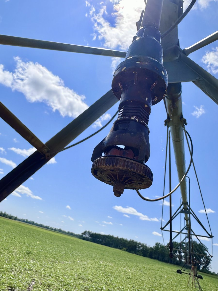 rust, sand, and mouse guts