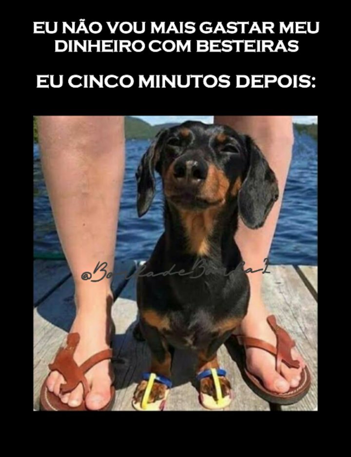 BorbadeBorba2's tweet photo. https://t.co/x7NA9l3RwZ
https://t.co/rPeoVq7uWI
https://t.co/dPfiOavAkU
https://t.co/WPEVo89gdW
https://t.co/kgUw9fgeWS
https://t.co/tmckqg6A1L
https://t.co/jefvim08qk
https://t.co/1tU75SETTx
https://t.co/Ybeik2hBx7
https://t.co/STsB2aqDDP https://t.co/q9nxbtcDIK