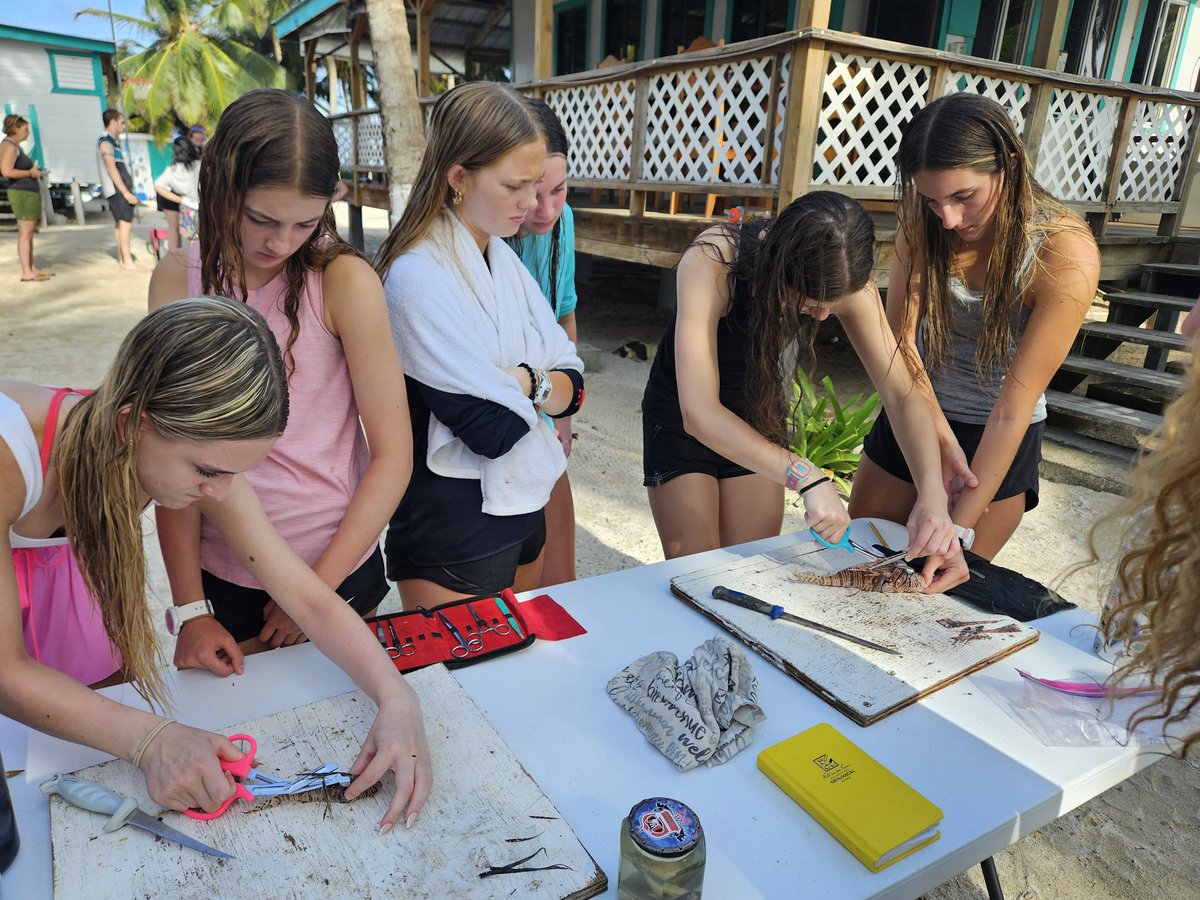 This summer, a group of our students had the incredible opportunity to attend a Tropical Ecology and Conservation Trip to Belize. Many thanks to our faculty, Liz Clyne ‘93 and Tim DiMartino, for chaperoning the trip, and we cannot wait to hear more about your time in Belize!🪸🔬