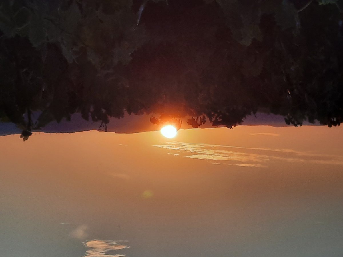 MagnoliaFrance's tweet image. A beautiful evening  #Azille South West France #sunset #vineyard