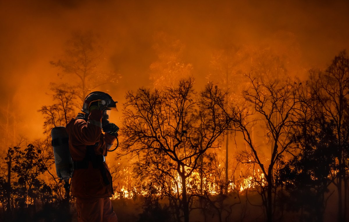 cooper_intlsos's tweet photo. En medio de la crisis #climática, los #incendios forestales en todo el continente han aumentado.

En este informe se examinan las repercusiones de la temporada de incendios forestales en los trabajadores y las recomendaciones.

Descargue el informe aquí: https://t.co/SMyqdo7NeT https://t.co/7XbhFceuoX