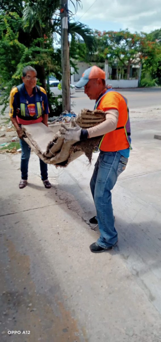 Secretaría de Servicios Públicos y Ecología tweet media