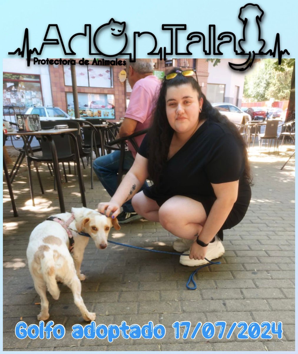 adoptala's tweet photo. Golfo adoptado!!
Gracias a Olga y su familia por darle el calor y el cariño de un hogar 🥰, también queremos agradecer a Bego por acogerle y cuidarle este tiempo 👏👏 https://t.co/EepE3KzoxZ