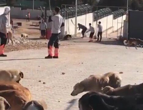 Çocukların fotoğraflarıyla komisyona gelip, "çok duyarlı" havası estirenler, biz de fotoğraflar koyalım mı? Bu bir yarış mı? Mesele bu mu? O zaman buyurun, bunlar sizin döneminizde yaşananlardan sadece 4 tanesi, daha yüzlercesi var! Şunu bilin bu ülkede çocukları bir tek siz