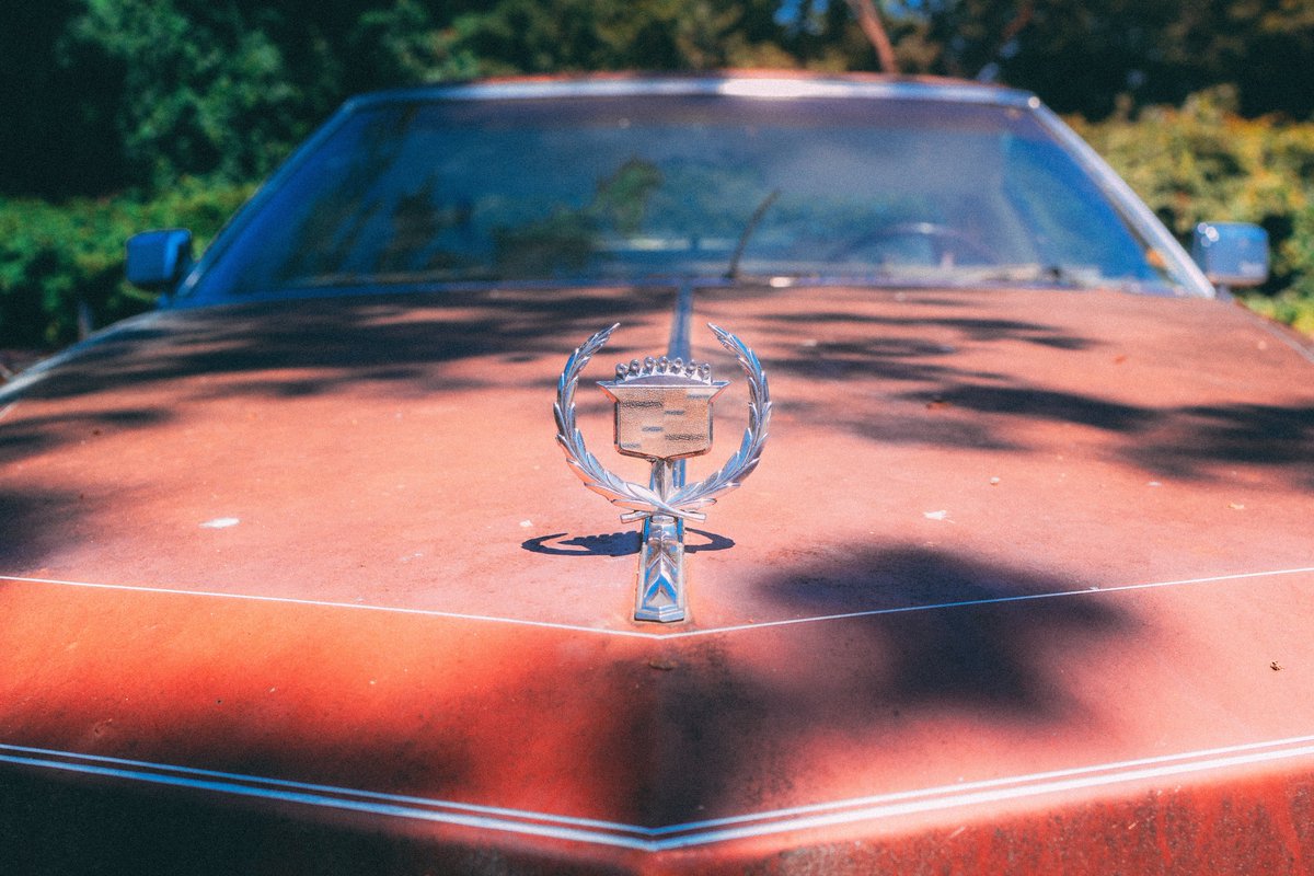 ShootWithSantos's tweet image. A long way from 1975.