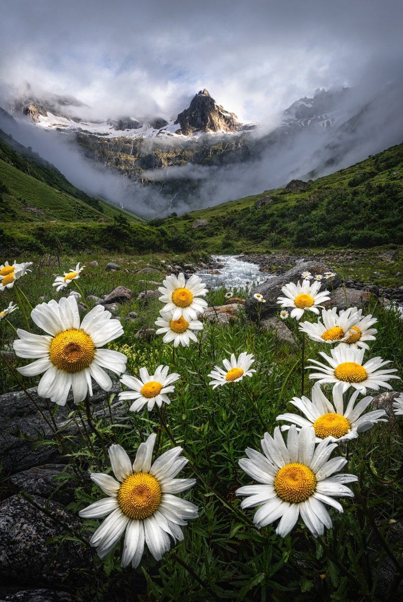 nature_frame_'s tweet image. Good afternoon everyone 🌼

#WeDoMoreWednesday