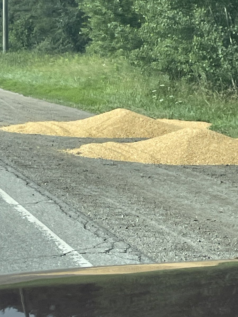 Brad Cober tweet media