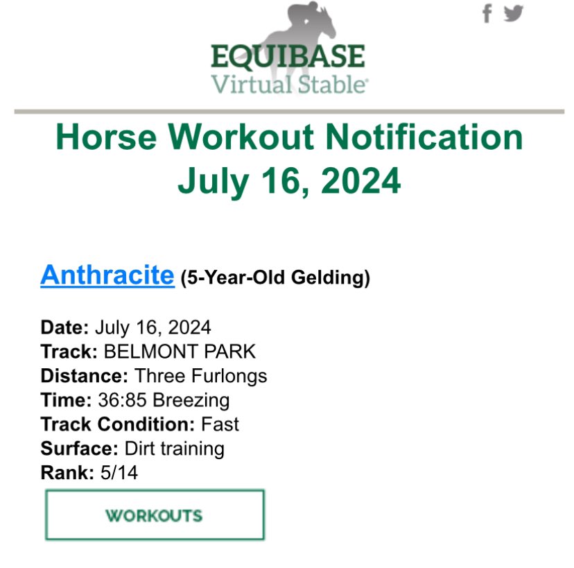 FunkyMunkyLLC's tweet photo. Workout posted for Anthracite yesterday morning at Belmont Park 🐎 ⏱️ https://t.co/UZuLJtKZIA