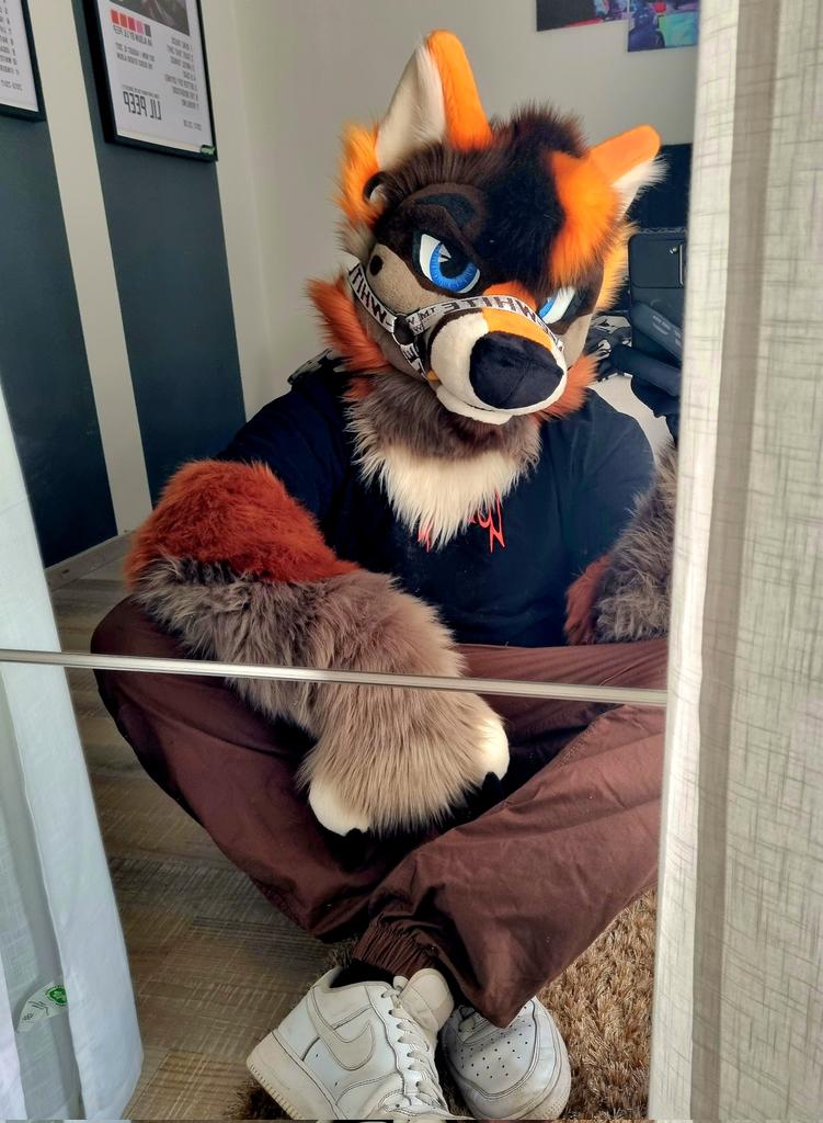 Idk man im just a Wolf 🍊

#FursuitEveryday