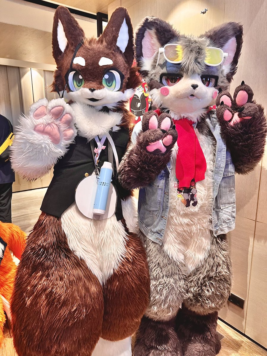 snowwolf0000's tweet photo. 可愛い英助 @eisuke_fur 
#FurMIT2024 https://t.co/lWSn53qJ9q