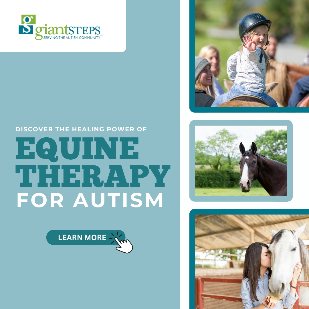 Giant Steps Illinois tweet media