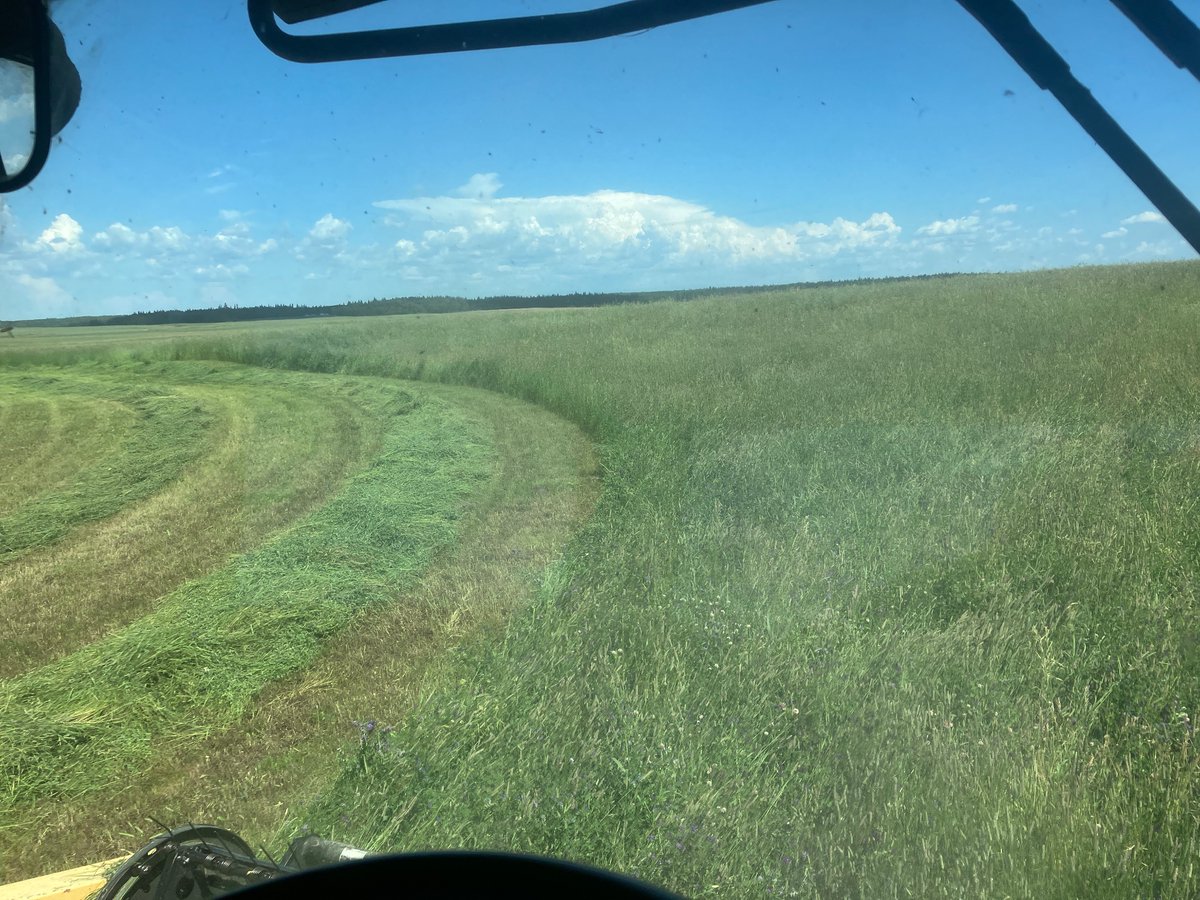 Sure seems like the arctic S product from <a href="/NNGuenther/">Ross Guenther</a> woke up this old hay stand!