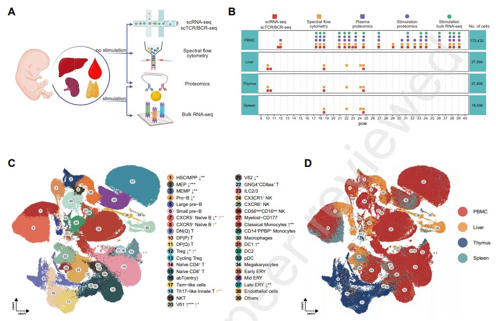 LabWaggoner's tweet photo. Atlas of the immune system development in the fetal blood
https://t.co/Sksjb4WoKh https://t.co/kVWHsTeEv1