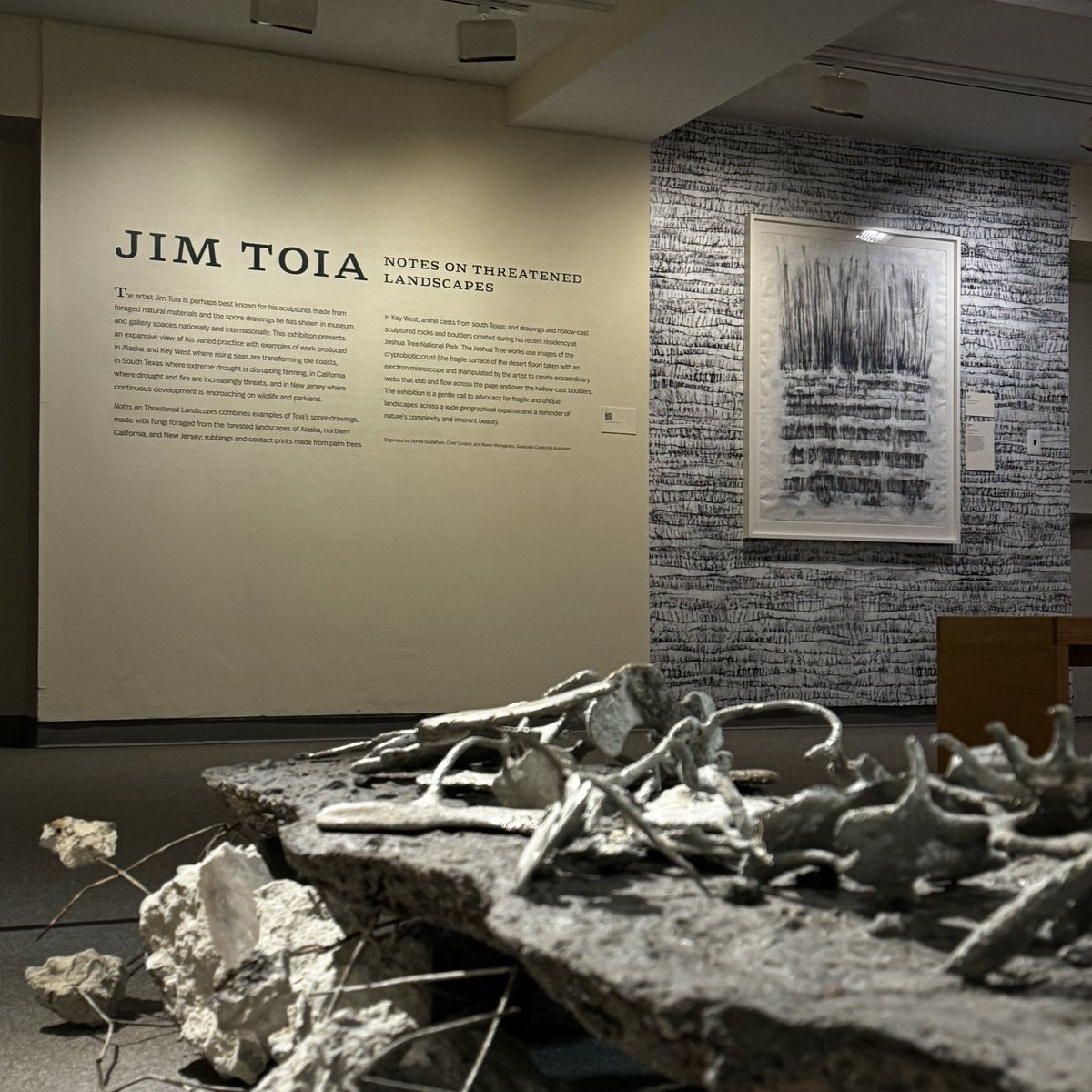 CLOSING THIS SUNDAY, JULY 31 ⬇️

JIM TOIA: Notes on Threatened Landscapes