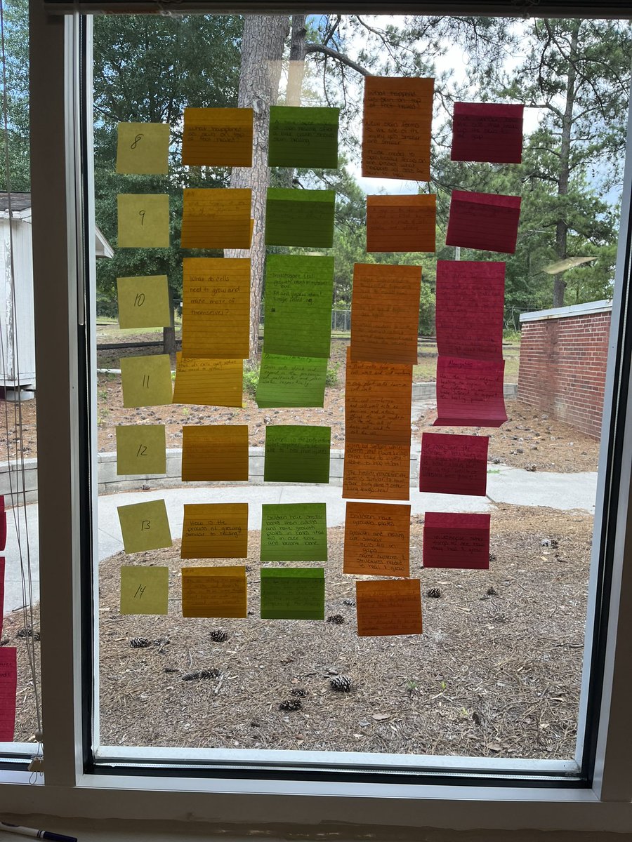 Holly Sullivan, EdD tweet media