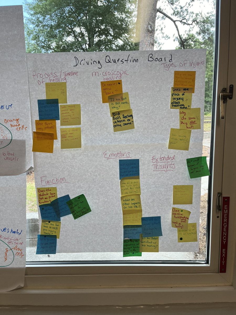 Holly Sullivan, EdD tweet media