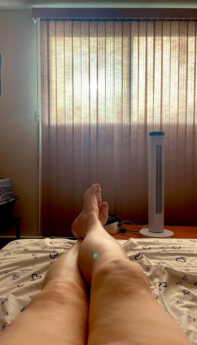 SingleYegChick's tweet photo. I need darker curtains…. #TooWarm https://t.co/B4Aw9M7Gyu