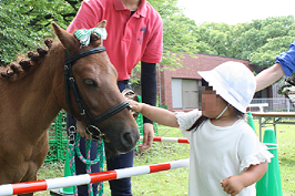 kanagawascience's tweet photo. 【横浜根岸・馬の博物館 ポニーセンター】
7月20日・27日・8月3日「自由研究相談 馬博士になろう」、毎週日曜日「馬とのふれあい撮影会」開催♪
★7月18日まで★「ポニーの絵をかこう」事前申込受付中です。詳細・お申込みはこちから↓
https://t.co/s2k5jdj2zE https://t.co/Z5YgVS3ref