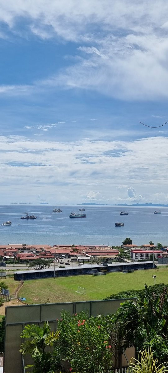 Rose-Maebiru Martin tweet media