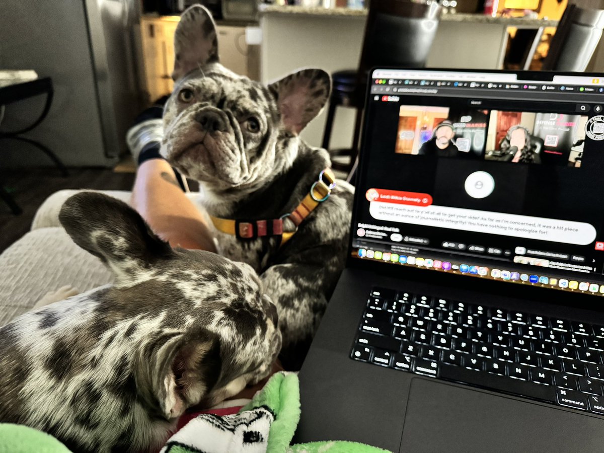 KimchiPebbles's tweet photo. Watching @defense_diaries LIVE tonight.  Well done 🫶.  Thanks Bob and Ali!
#delphi #defensediaries https://t.co/K8pXZM8kw3