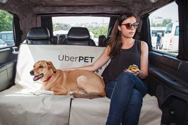 Uber Pet llega a la CDMX. Ahora podr&aacute;s viajar con tu mascota usando Uber Pet, disponible en la Ciudad<a href="/tag/cdmx"class="tags"><span>#cdmx</span></a><a href="/tag/uberpet"class="tags"><span>#uberpet</span></a>