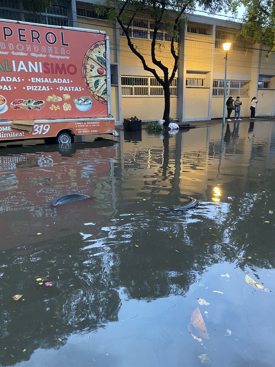 shaulick's tweet photo. @lasillarota @AICM_mx @nmas Y la calle paralela al Boulevard (Oriente 184) Aeropuerto igual, o peor…Las coladeras no sirven, siempre un basurero por establecimientos (Restaurantes) que no limpian a su alrededor… En fin… @A_VCarranza @evelyn_parraA https://t.co/cUoROwpy0O