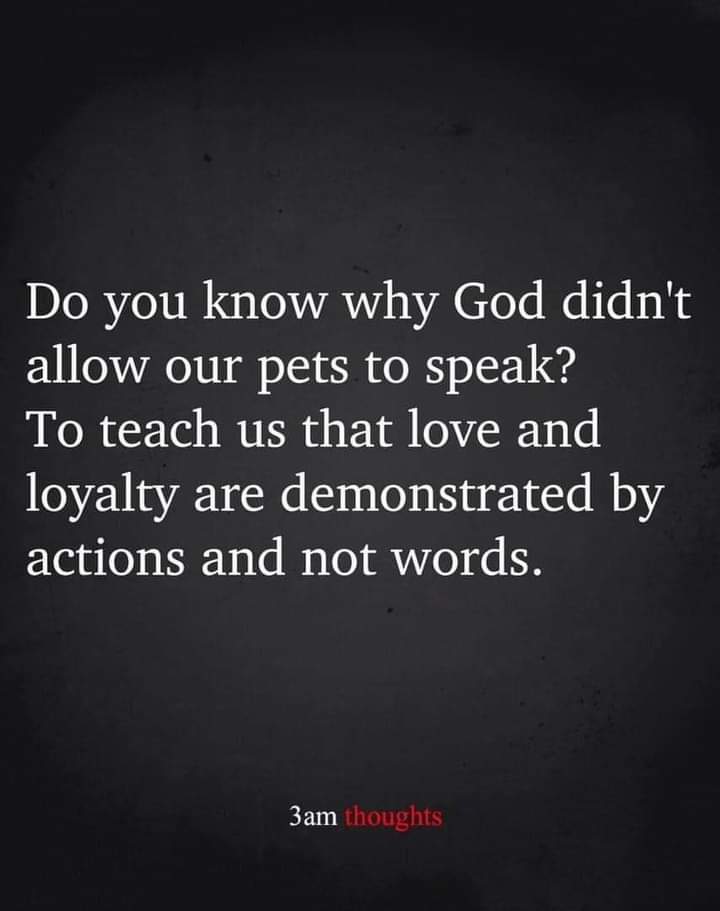 Lenna Dunagan tweet media