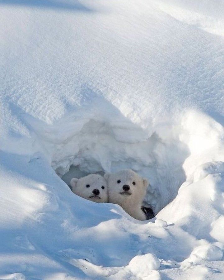 vivaneil (@vivaneil1234) on Twitter photo 