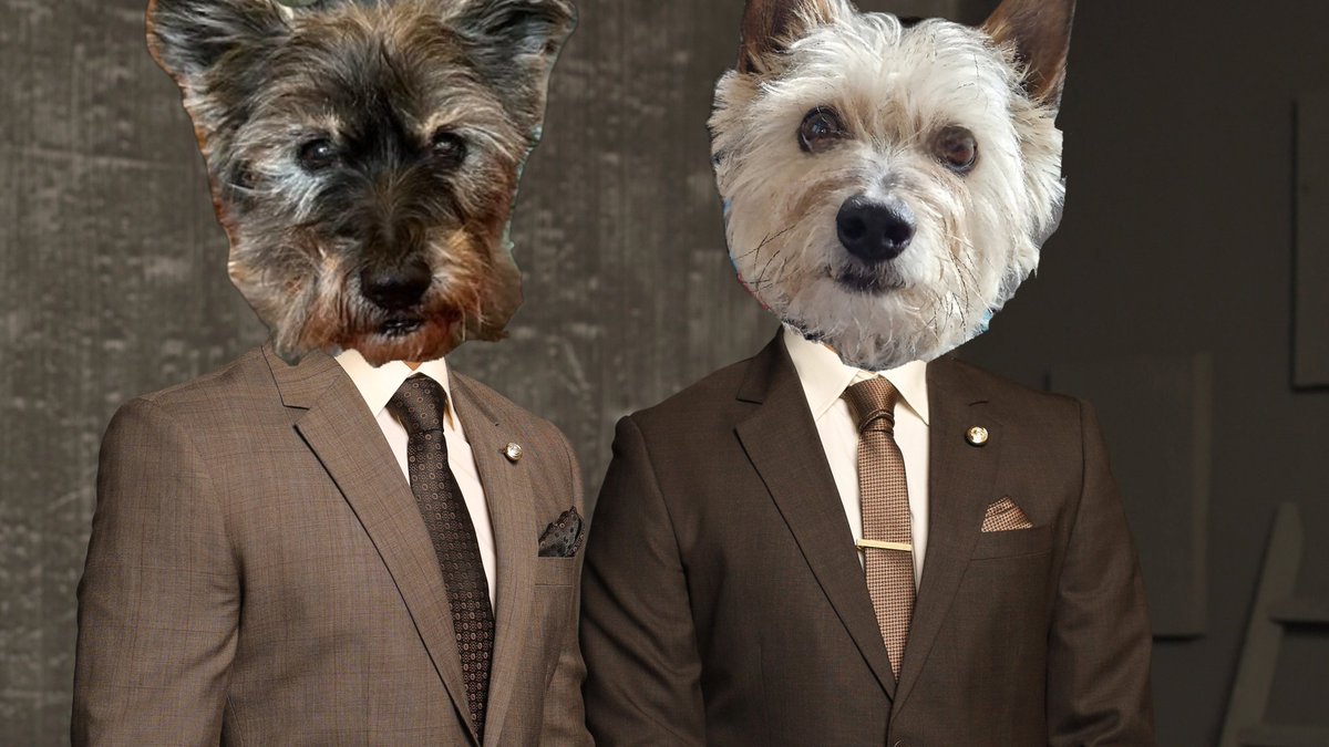jennystape's tweet photo. BovverBoys are putting themselves forward to take over Gareth Southgate's job of managing England football team β½οΈ
@Norman_Dillon1 #BovverBoys #EnglandManagers #England https://t.co/ELkNd9vUv3