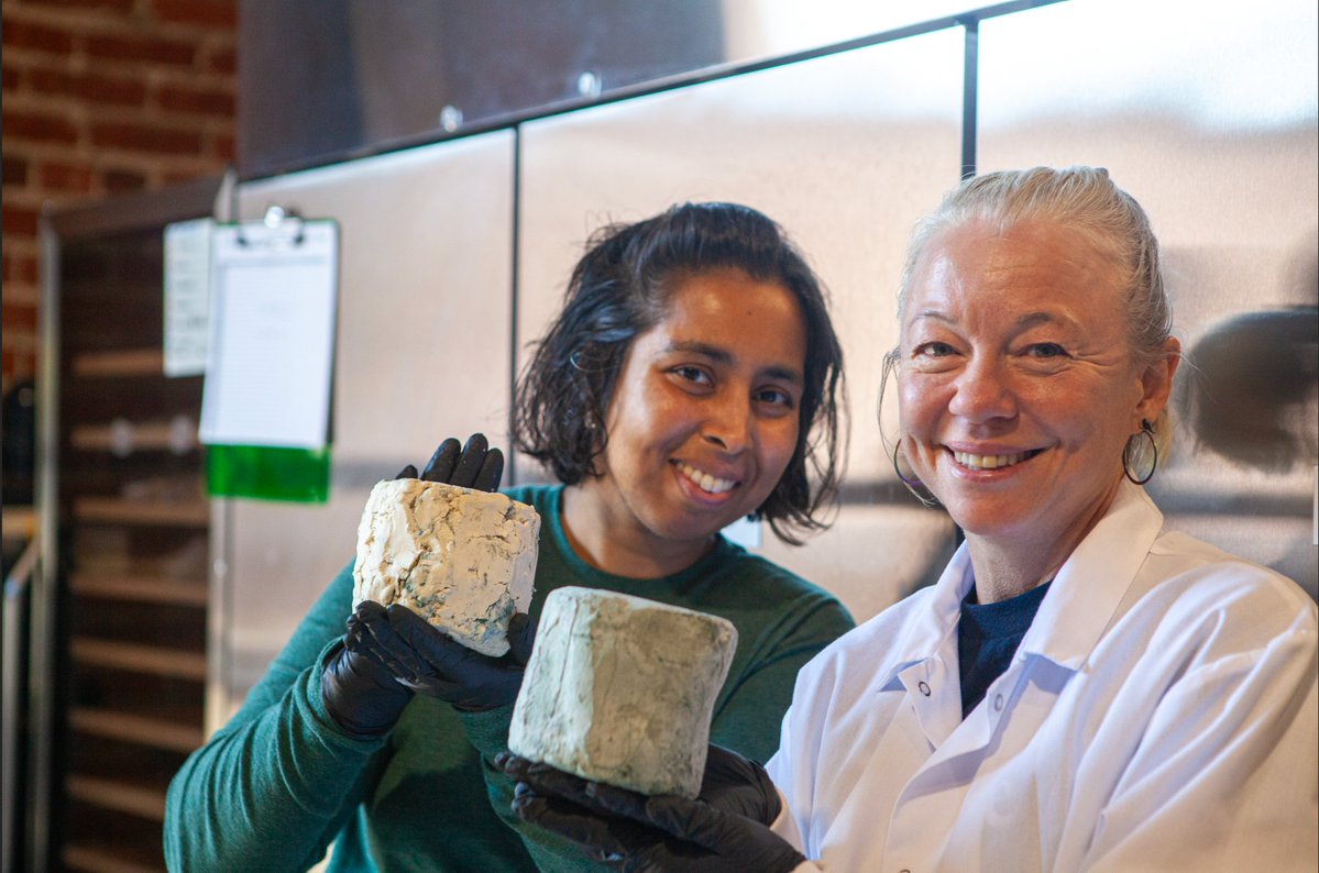 Climax Foods tweet media