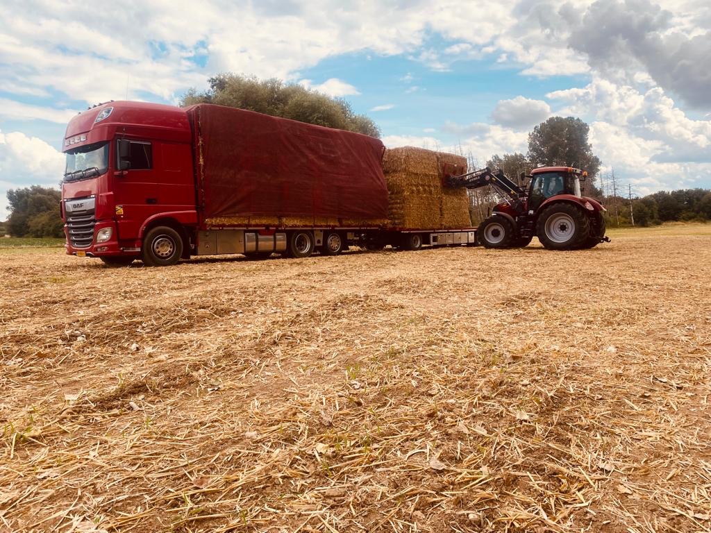 stijnderks's tweet photo. Gezocht door heel Nederland, Duitsland, Frankrijk en België #stro direct achter de combine of reeds in de baal!

Bied gerust alles aan! 

Delen wordt gewaardeerd 😁 https://t.co/V5UT8cSxTJ