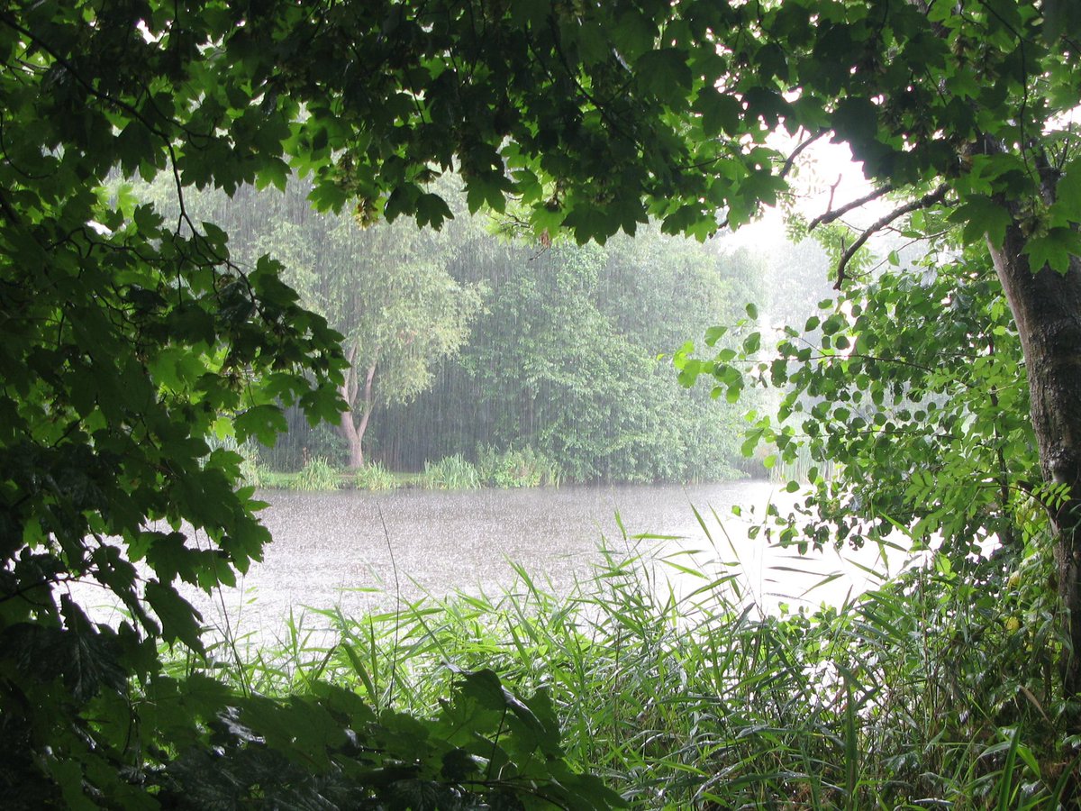 God cooked when he invented summer afternoon thunder storms