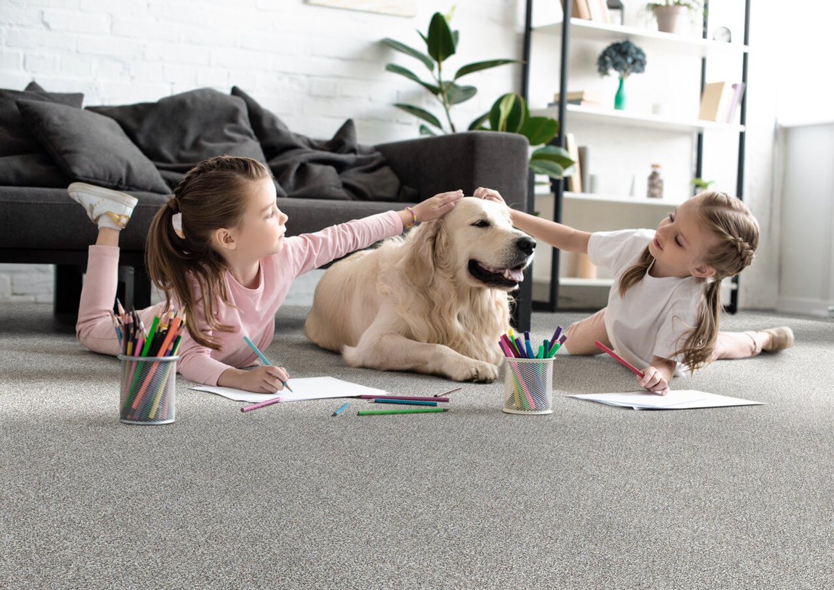 EF_floors's tweet photo. Watch your little astronauts blast off into endless fun on our Out of this World PureColor High-Def carpet. It's soft and durable – the perfect launchpad for adventures. 👽🛰️🚀
https://t.co/KhMIGcFuR9
#PureColor #HighDef #EngineeredFloors #Carpet #Home #InteriorDesign https://t.co/7ktBYRV4OJ