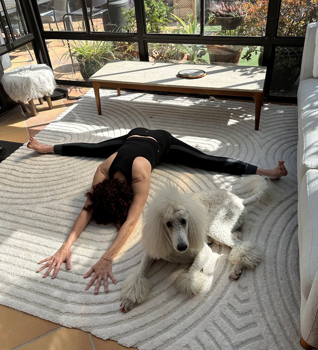 BroderWriter's tweet photo. Today, I'm 62. Wanted to show you what four years of steady yoga practice can look like—at any age. (And dogs like it, too!) #Yoga #AnyAge #Poodle #SixtySomething https://t.co/bmUa36BMAQ