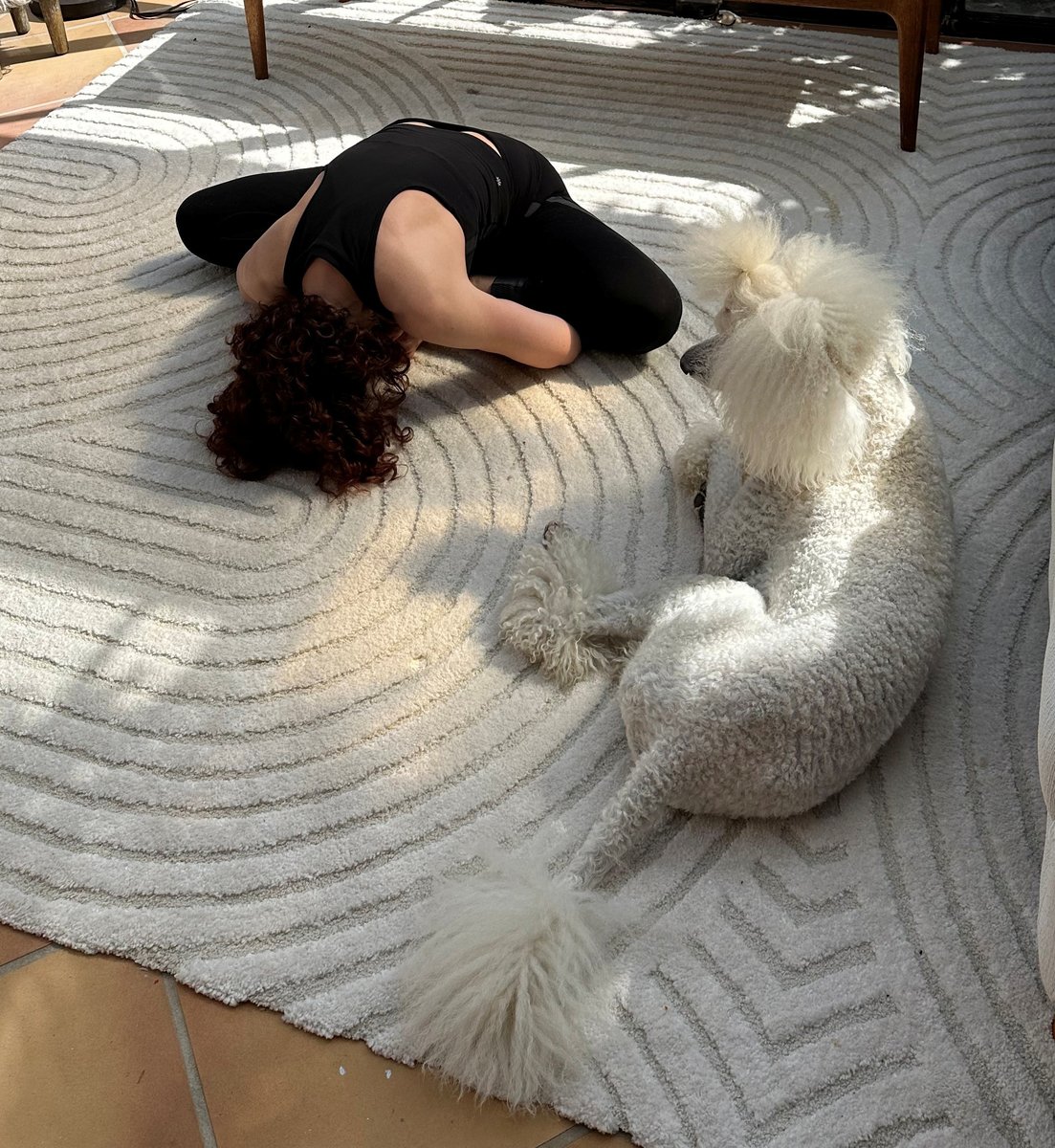 BroderWriter's tweet photo. Today, I'm 62. Wanted to show you what four years of steady yoga practice can look like—at any age. (And dogs like it, too!) #Yoga #AnyAge #Poodle #SixtySomething https://t.co/bmUa36BMAQ