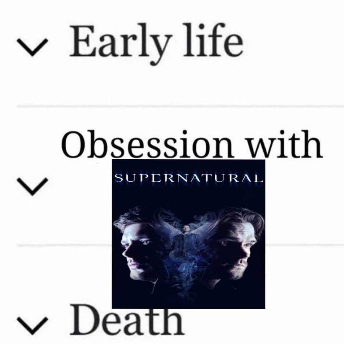 scar 🕷️ (@schaardy) on Twitter photo 