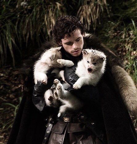 𝐼𝑇'𝑆 𝐴𝐿𝐿 𝐼𝑁 𝑌𝐸𝑅 𝐻𝐸𝐴𝐷 ! tweet media