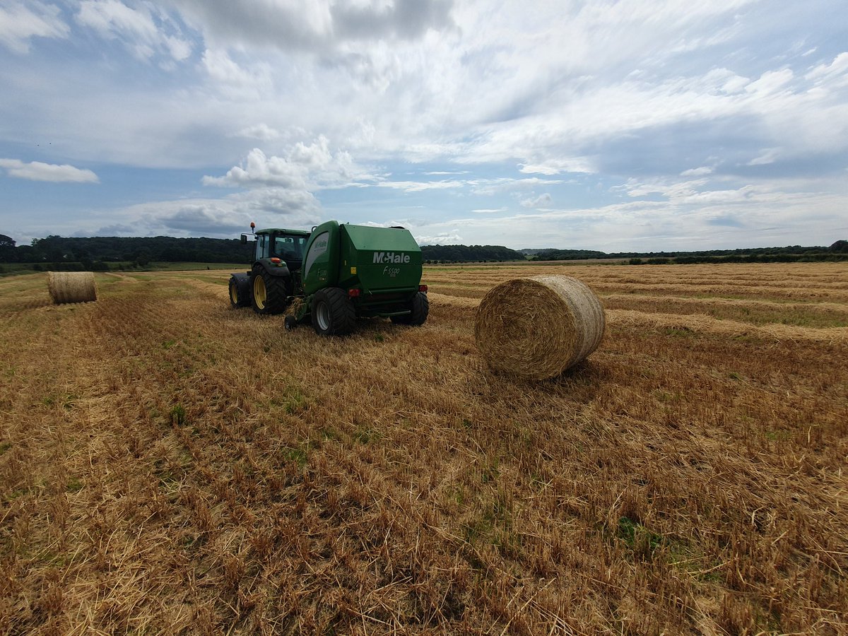 Trying to be a good guy whilst baling the straw today 🐣🚜🌾