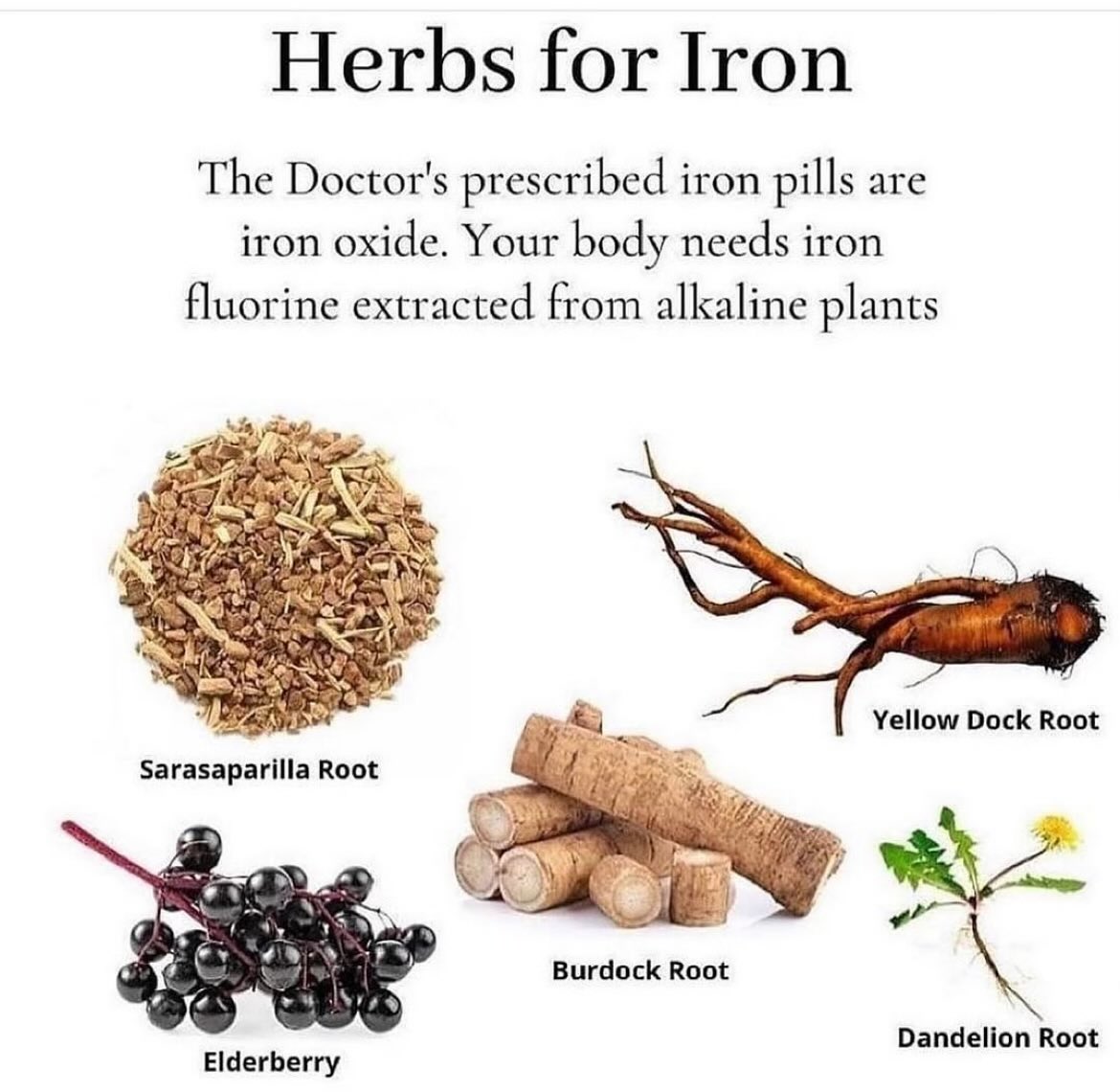 FredsFarm247's tweet photo. Herbs for iron

Dandelion Root: https://t.co/l1Rwdo60vY https://t.co/yWPdkUtxOH