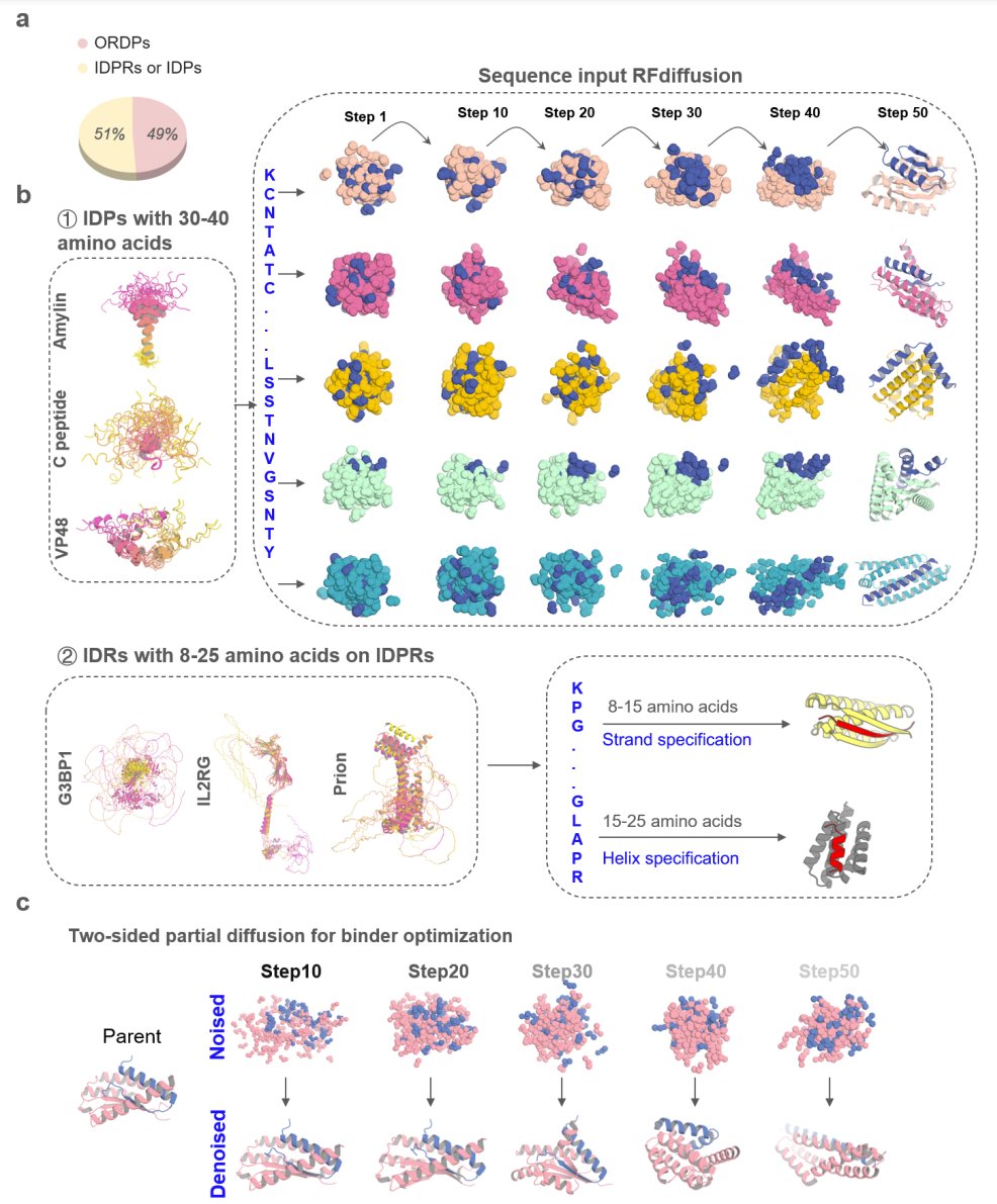 Diffusing protein binders to intrinsically disordered proteins
- Finetune RFdiffusion to accept secondary structure specifications along with sequence input. Add partially masked secondary structure and "block adjacency" information.
- Input Target protein sequence (optionally