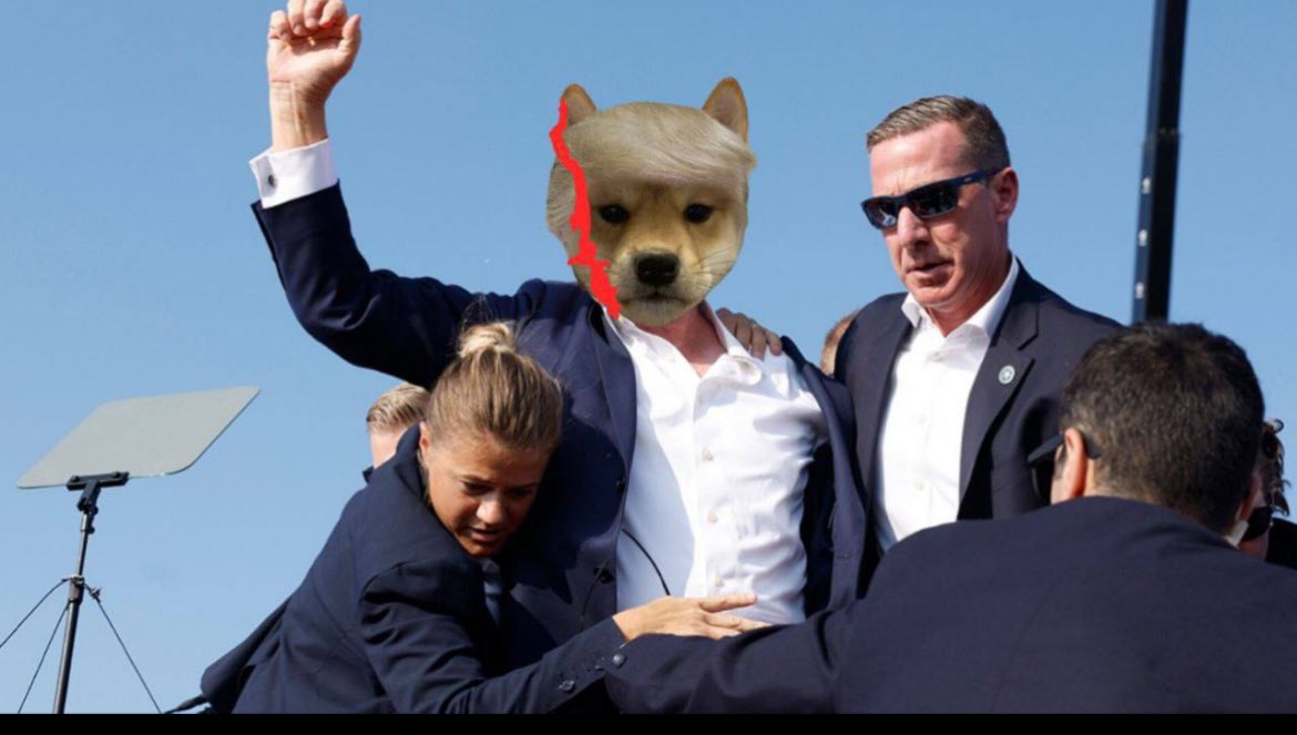 #wifnoear 

Wifnoear is on the way to become the best performing CTO in HISTORY! We may have lost a piece of our ear but that will not stop our greatness!

Ca: 6XAPGvfdnHVgXmFGu9wWxxAY3KDU5cFMPCG8GUiLpump