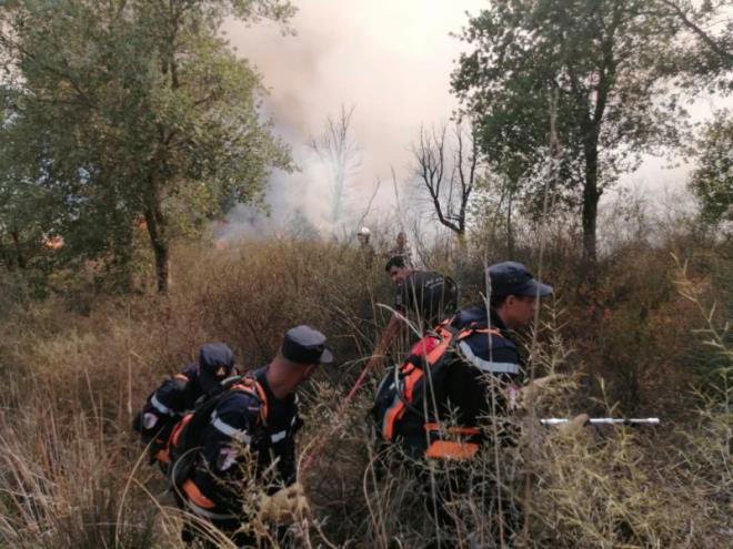 Laurent ALFONSO tweet media