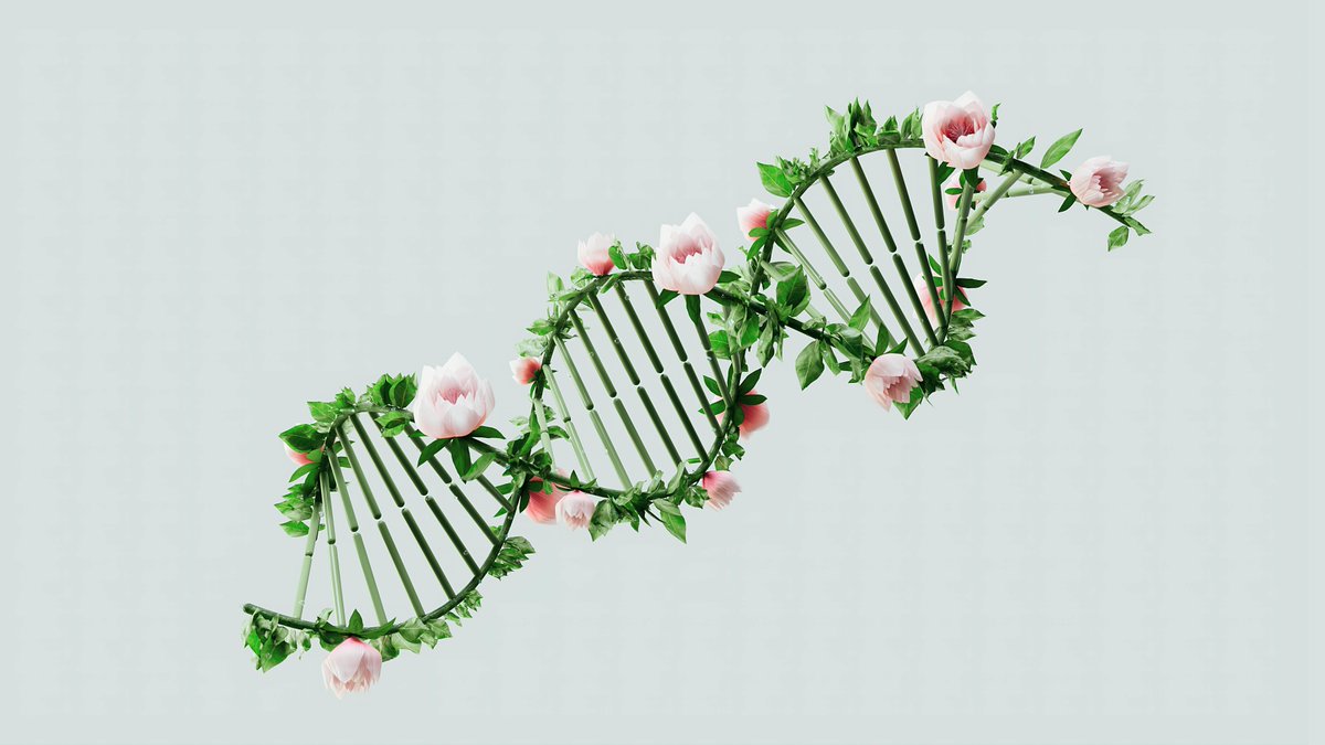 Great science, uncomfortable history: Sir Gustav Nossal and the long tail of eugenics...
⁠
🔗 Read now: theguardian.com/science/articl…
⁠
This post is shared by Sinai and Synapses as part of our "What we've been reading" segment.

#eugenics #science #jewish #judaism #religion #new