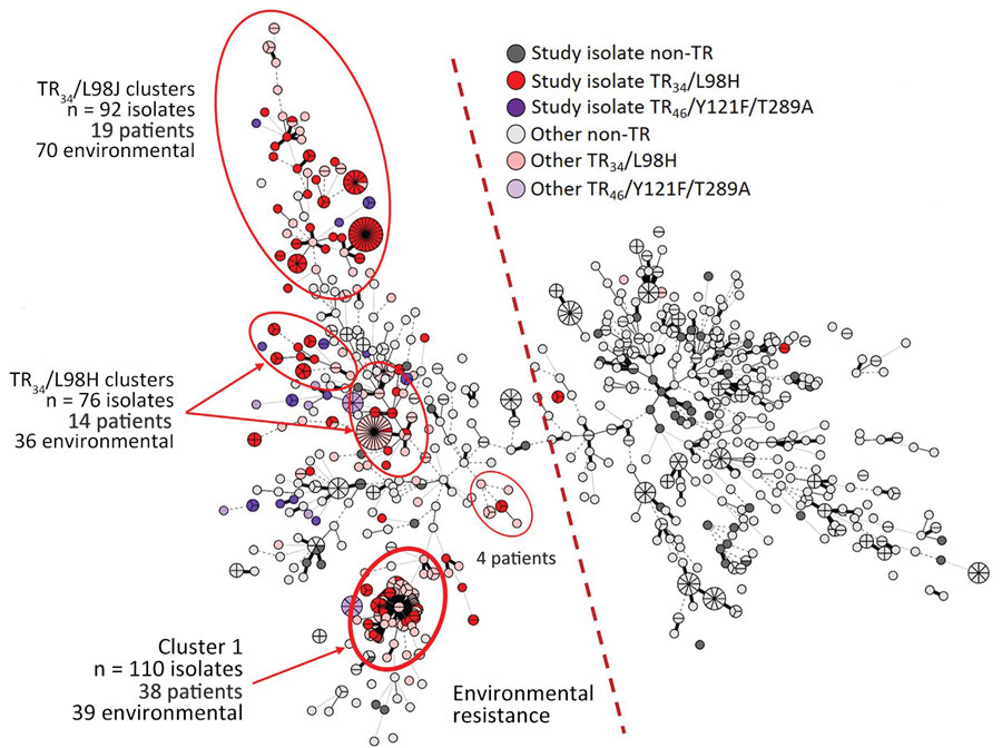Azole-resistant #Aspergillus fumigatus was found in 20% of 366 environmental samples collected in Denmark; 4.2% of 4,538 investigated isolates were azole resistant, dominated by TR34/L98H-related and TR46/Y121F/T289A-related mechanisms. 
bit.ly/46d1M7F