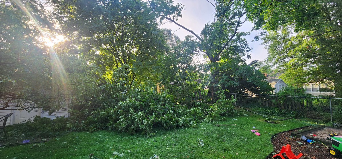 Mark G. Spychala tweet media