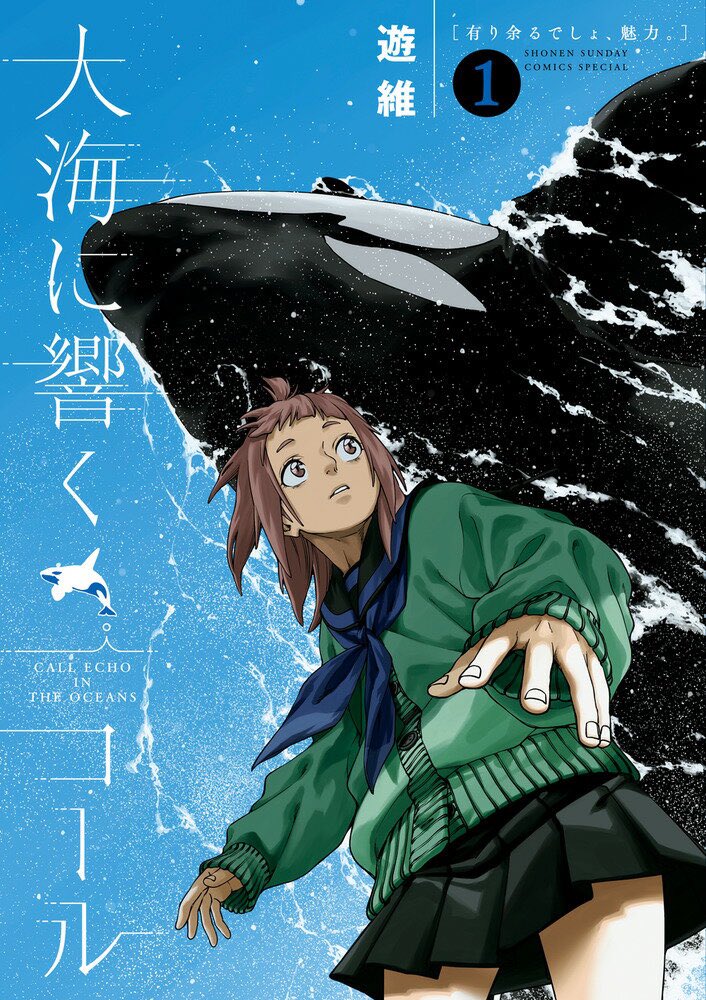 【読書記録】

▶︎大海に響くコール 1 | 遊維