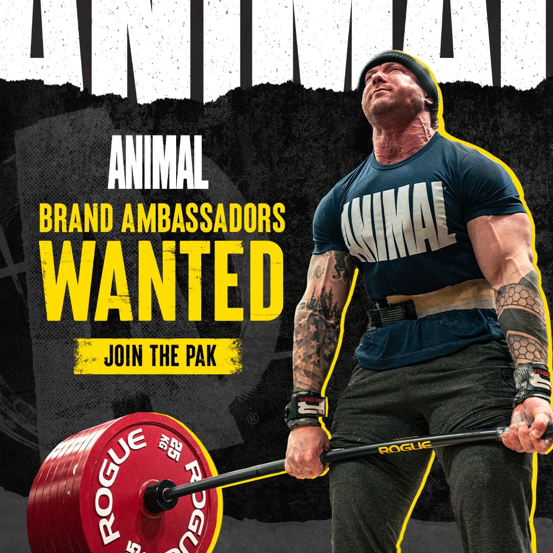 Animal Brand Ambassadors Wanted‼️

Enjoy exclusive perks as a member of our program:
🎁 Welcome package 
🏃 Early access to launches
💪 Promotional events
🔥 Monthly rewards, commissions, and more! 

Sign up here: bit.ly/3Y3SBVb

#animalpak #animalpakambassador