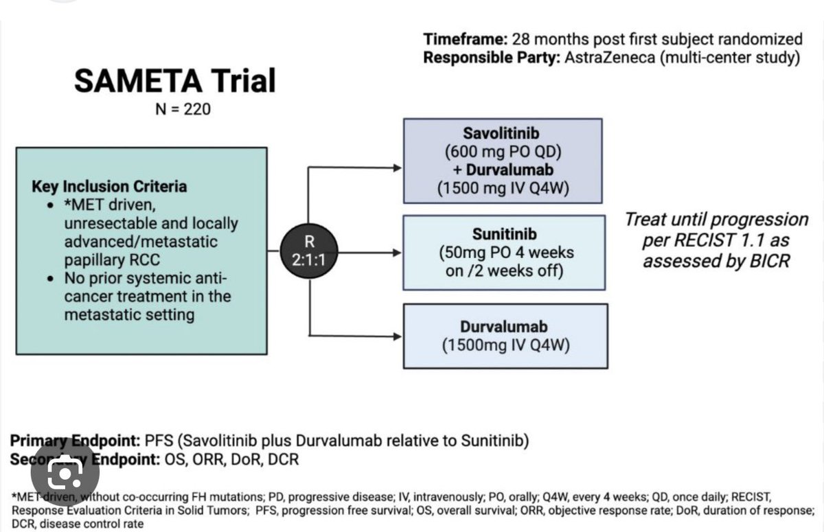 DrChoueiri's tweet photo. Very nice work and proves again that the “newer” MET-driven classification is more therapeutically relevant but let’s wait for #SAMETA (enrolling)
@montypal @KidneyCancerDoc @tompowles1 @DrDanielHeng @motzermd @AlbigesL @DrYukselUrun @crisuarez08 @kidneycan https://t.co/O6XF6YvsDb